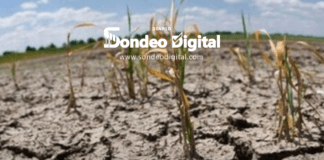 Gobierno destinará 1,500 millones de lempiras para mitigar efectos del fenómeno «El Niño»