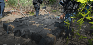 Nuevo golpe al narcotráfico: decomisan segundo cargamento de supuesta cocaína en Marcovia